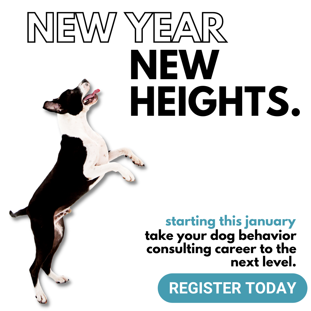 New Year, New Heights. Starting this January take your dog behavior consulting career to the next level.