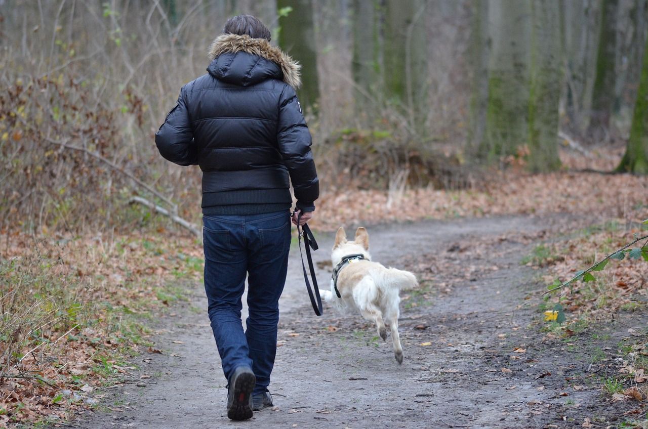 The No. 1 mistake people make when teaching their dogs to come when called